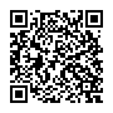 QR code for plate DNR 303