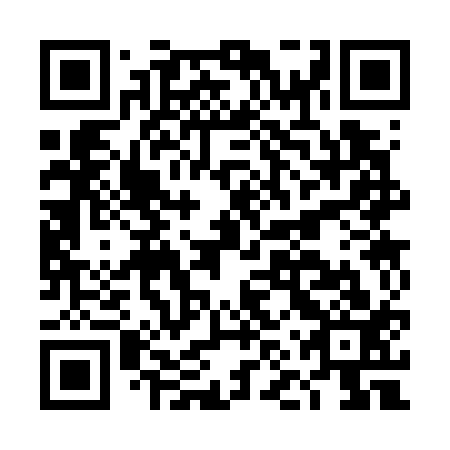 QR code for DNS 713