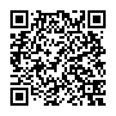 QR code for DNS 738