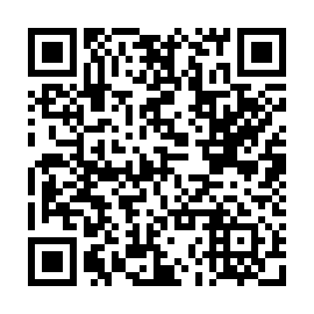 QR code for DNS311