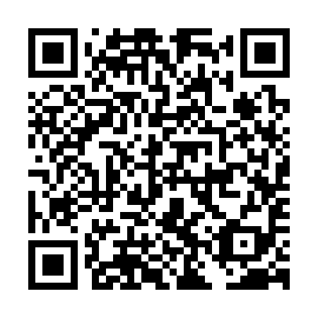QR code for plate DNS 399