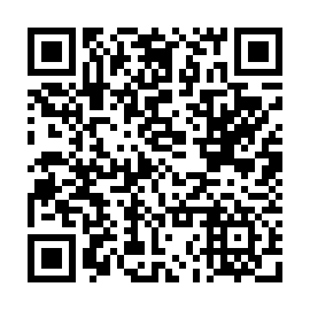 QR code for plate DNS 477