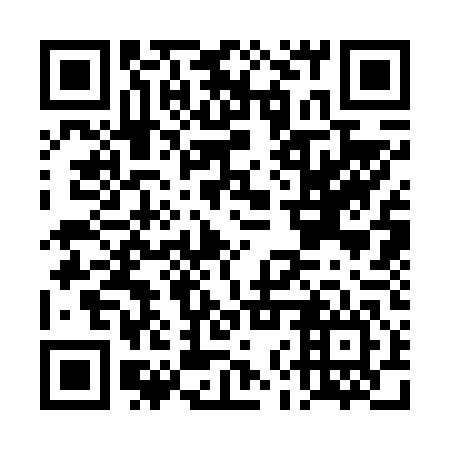 QR code for plate DNS 646