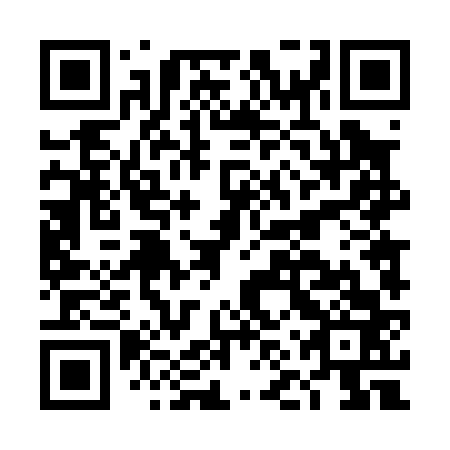 QR code for DNT 063