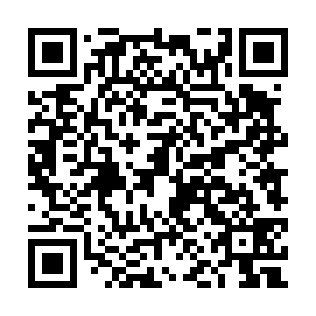 QR code for plate DNT 439