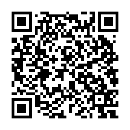 QR code for DNV 237