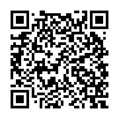 QR code for DNV 255