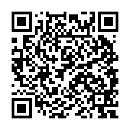 QR code for DNV 299