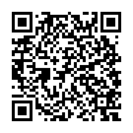 QR code for DNV 308