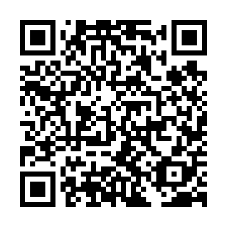 QR code for DNV 608