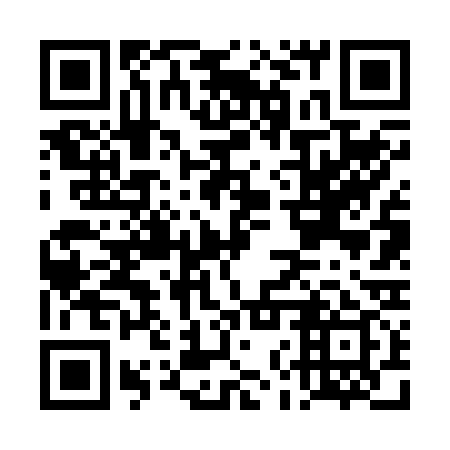 QR code for plate DNV 239