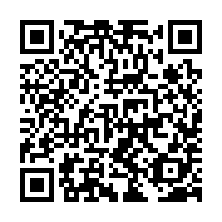 QR code for DNV388