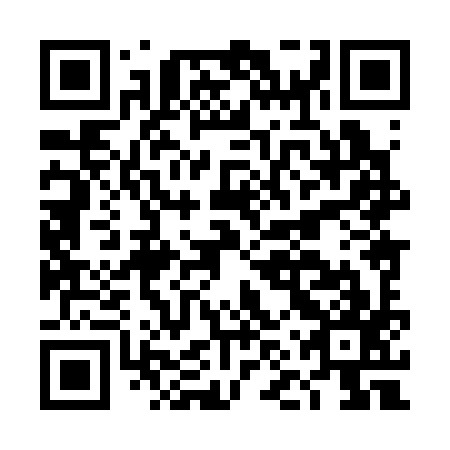 QR code for DNX397