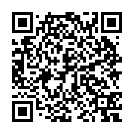 QR code for plate DNY 230