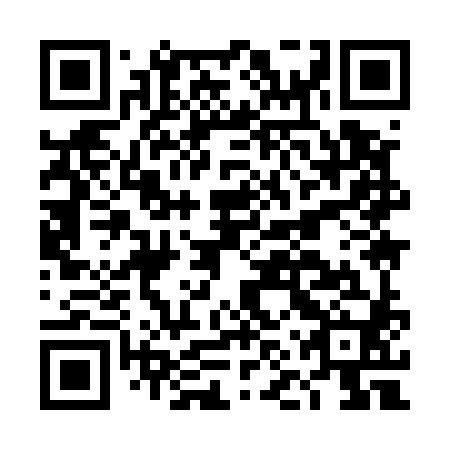 QR code for plate DNY 580