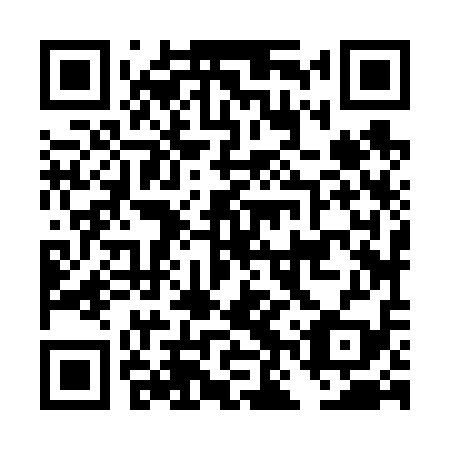 QR code for plate DNZ 619