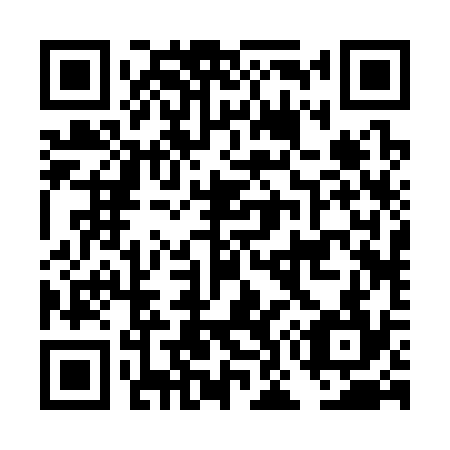 QR code for DO 2334