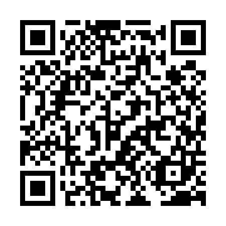 QR code for DO 9503