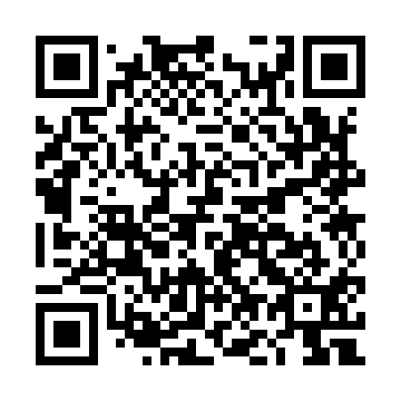 QR code for DO3911