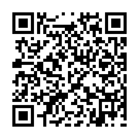 QR code for DOE 333