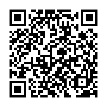 QR code for DOI 193
