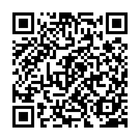 QR code for DOI 501
