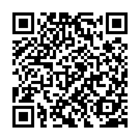 QR code for plate DOI 508