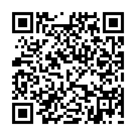 QR code for DOL 313
