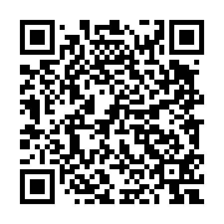 QR code for DOL 411