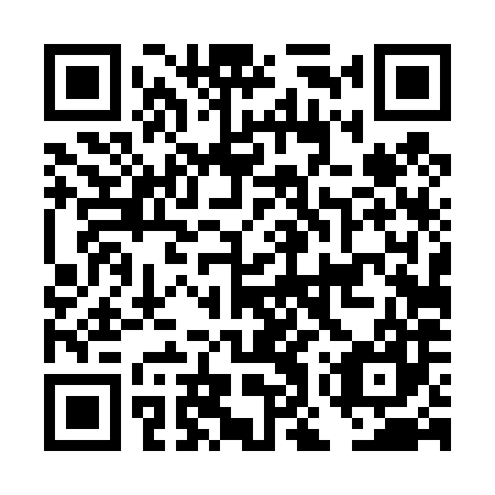 QR code for DOT 487