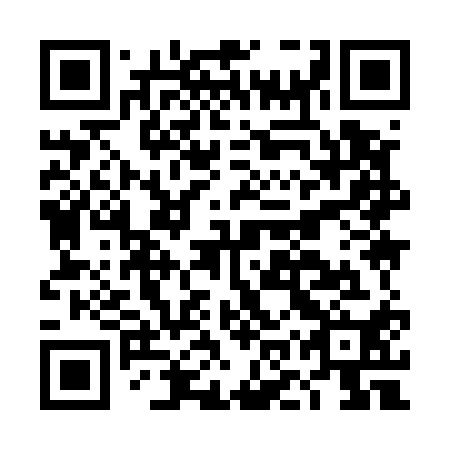 QR code for plate DOY 510