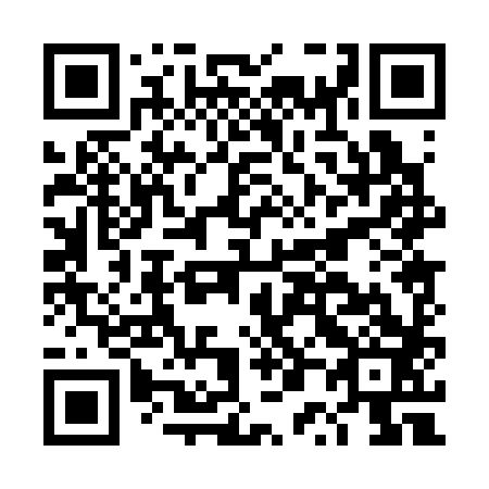 QR code for DP 0383