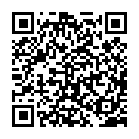QR code for DP 0411
