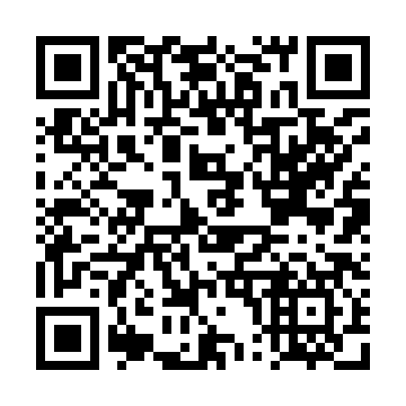 QR code for DP 2987