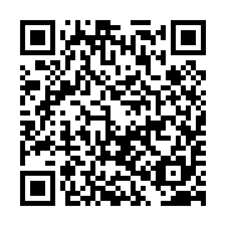 QR code for DP 3095