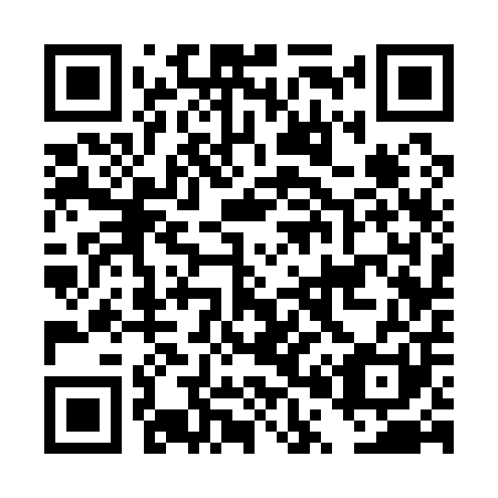 QR code for DP 3101
