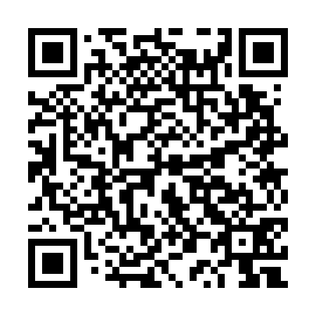 QR code for DP 3771