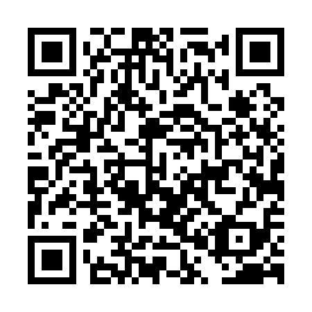 QR code for DP 4119