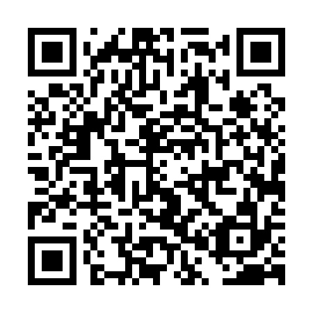 QR code for DP 4132