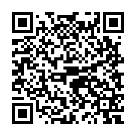 QR code for DP 4160