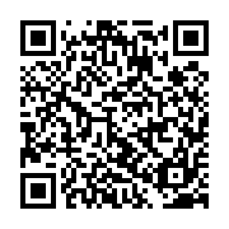QR code for DP 6517