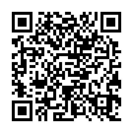 QR code for DP 7333