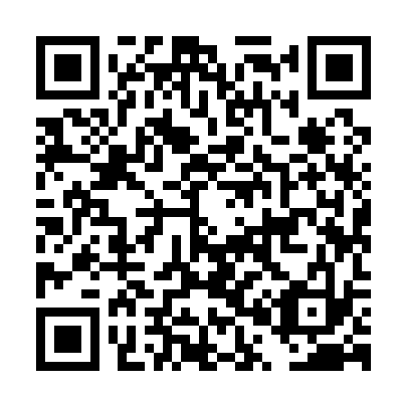 QR code for DP 9133