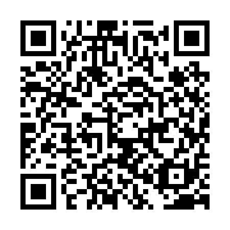 QR code for DP 9211