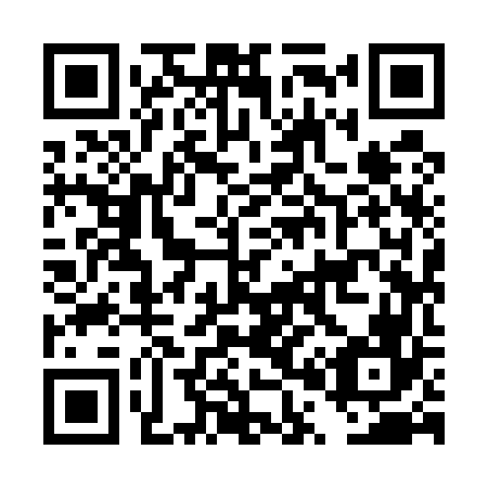 QR code for DP 9566