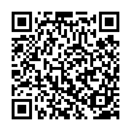 QR code for DP 9603