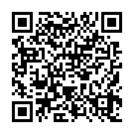 QR code for DP 9738
