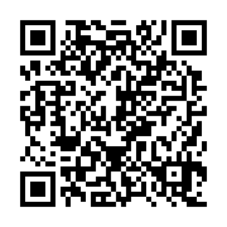 QR code for DP0334