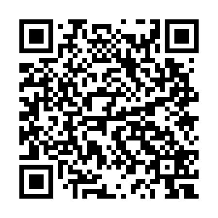QR code for DP1729