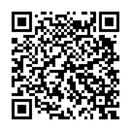 QR code for DP2455